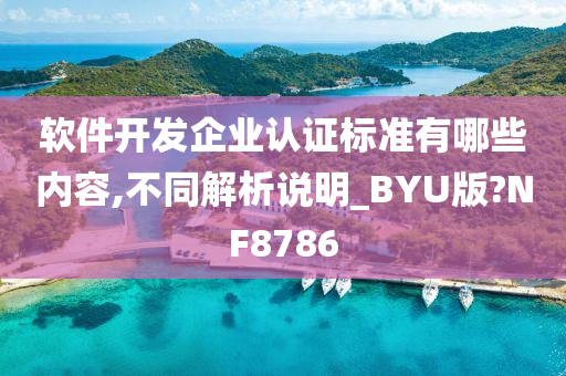 软件开发企业认证标准有哪些内容,不同解析说明_BYU版?NF8786