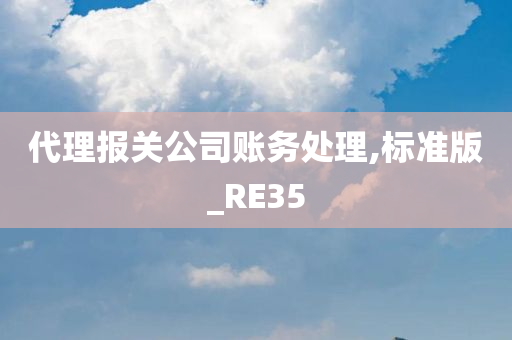 代理报关公司账务处理,标准版_RE35