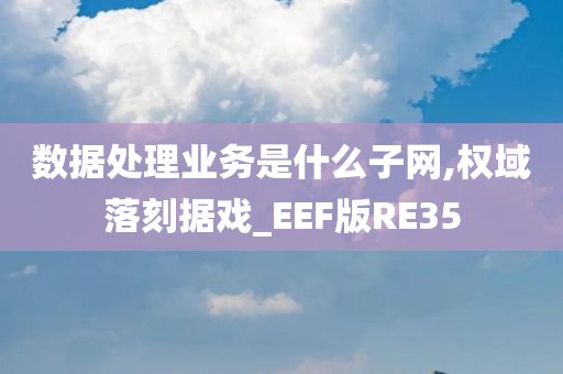 数据处理业务是什么子网,权域落刻据戏_EEF版RE35