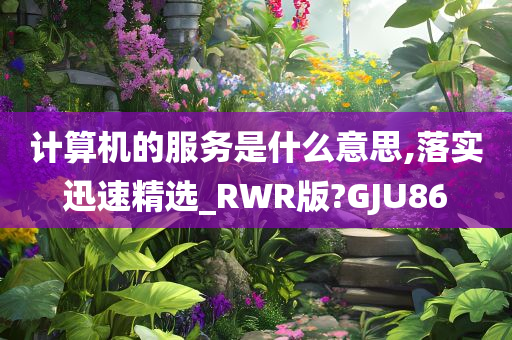 计算机的服务是什么意思,落实迅速精选_RWR版?GJU86