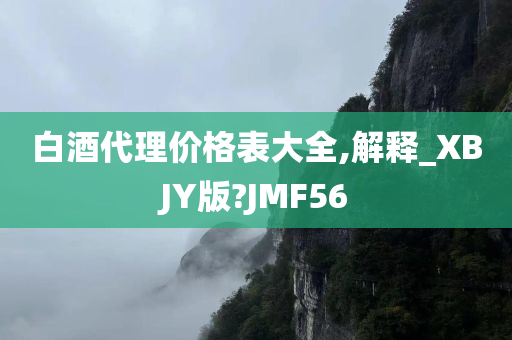 白酒代理价格表大全,解释_XBJY版?JMF56