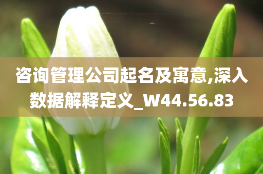 咨询管理公司起名及寓意,深入数据解释定义_W44.56.83