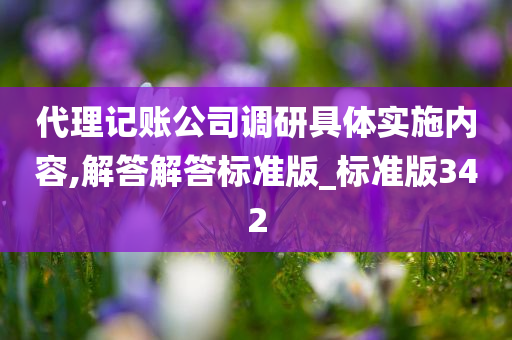 代理记账公司调研具体实施内容,解答解答标准版_标准版342