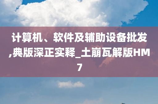 计算机、软件及辅助设备批发,典版深正实释_土崩瓦解版HM7