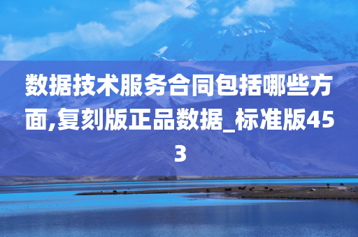 数据技术服务合同包括哪些方面,复刻版正品数据_标准版453