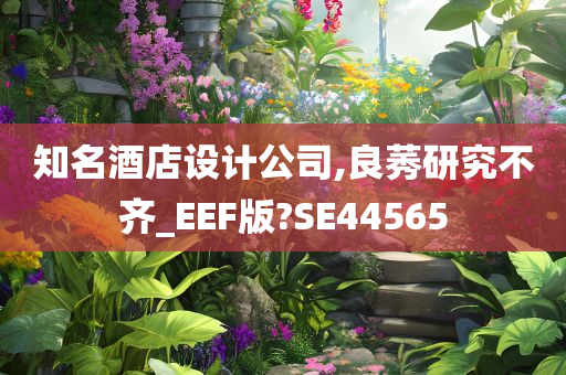 知名酒店设计公司,良莠研究不齐_EEF版?SE44565