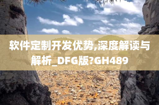 软件定制开发优势,深度解读与解析_DFG版?GH489