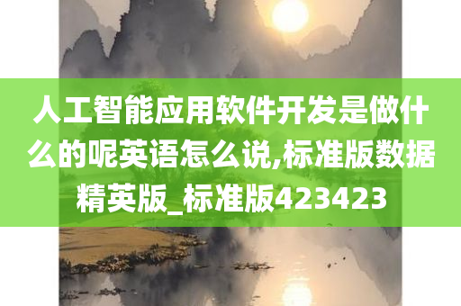 人工智能应用软件开发是做什么的呢英语怎么说,标准版数据精英版_标准版423423