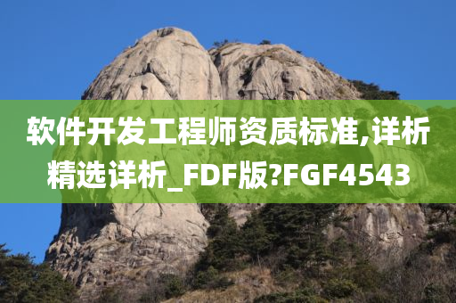 软件开发工程师资质标准,详析精选详析_FDF版?FGF4543