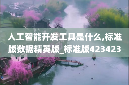 人工智能开发工具是什么,标准版数据精英版_标准版423423