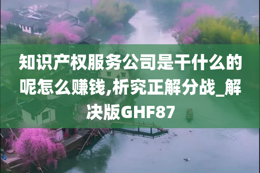 知识产权服务公司是干什么的呢怎么赚钱,析究正解分战_解决版GHF87