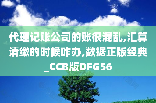 代理记账公司的账很混乱,汇算清缴的时候咋办,数据正版经典_CCB版DFG56