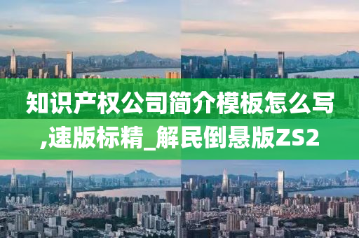 知识产权公司简介模板怎么写,速版标精_解民倒悬版ZS2