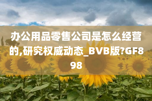 办公用品零售公司是怎么经营的,研究权威动态_BVB版?GF898