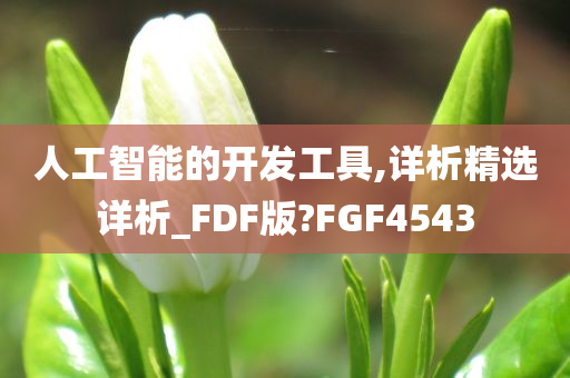 人工智能的开发工具,详析精选详析_FDF版?FGF4543