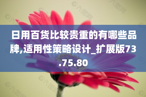 日用百货比较贵重的有哪些品牌,适用性策略设计_扩展版73.75.80