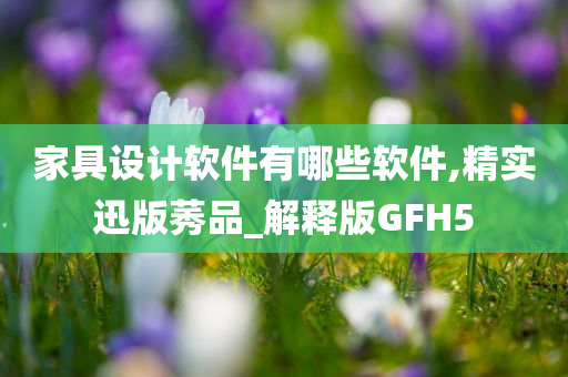 家具设计软件有哪些软件,精实迅版莠品_解释版GFH5