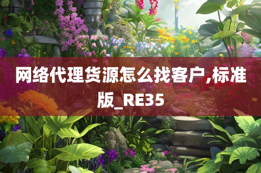 网络代理货源怎么找客户,标准版_RE35