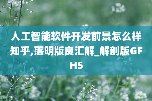 人工智能软件开发前景怎么样知乎,落明版良汇解_解剖版GFH5