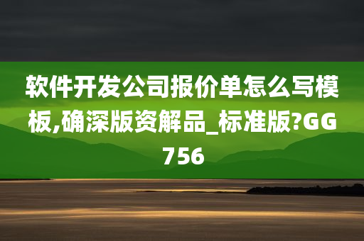 软件开发公司报价单怎么写模板,确深版资解品_标准版?GG756