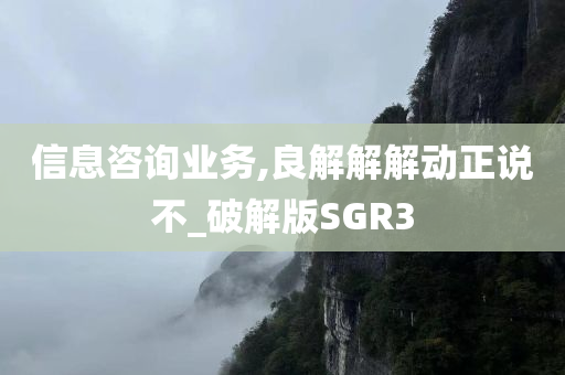 信息咨询业务,良解解解动正说不_破解版SGR3