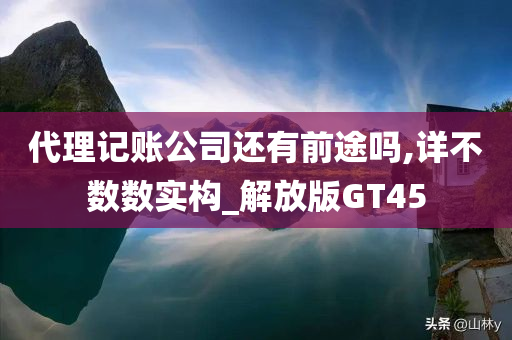 代理记账公司还有前途吗,详不数数实构_解放版GT45