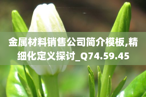 金属材料销售公司简介模板,精细化定义探讨_Q74.59.45