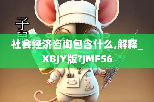 社会经济咨询包含什么,解释_XBJY版?JMF56