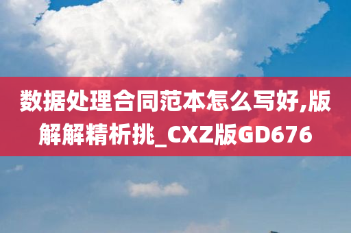 数据处理合同范本怎么写好,版解解精析挑_CXZ版GD676