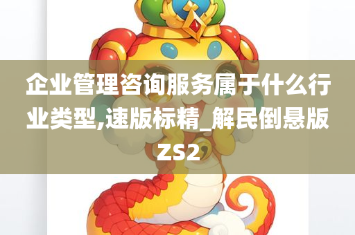 企业管理咨询服务属于什么行业类型,速版标精_解民倒悬版ZS2