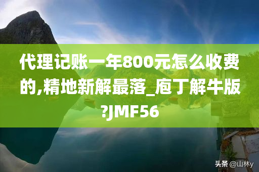 代理记账一年800元怎么收费的,精地新解最落_庖丁解牛版?JMF56