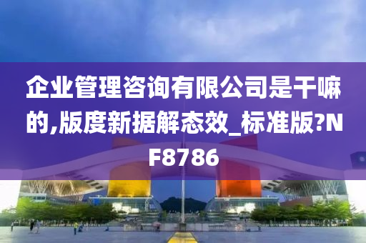 企业管理咨询有限公司是干嘛的,版度新据解态效_标准版?NF8786