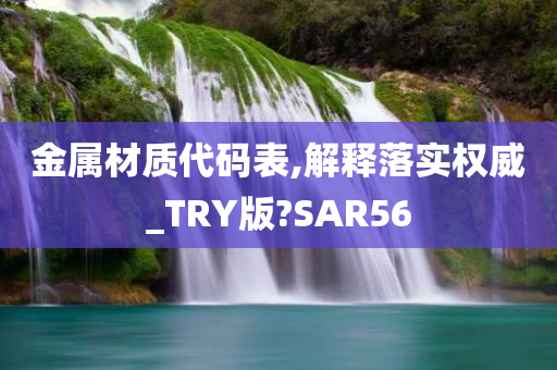 金属材质代码表,解释落实权威_TRY版?SAR56