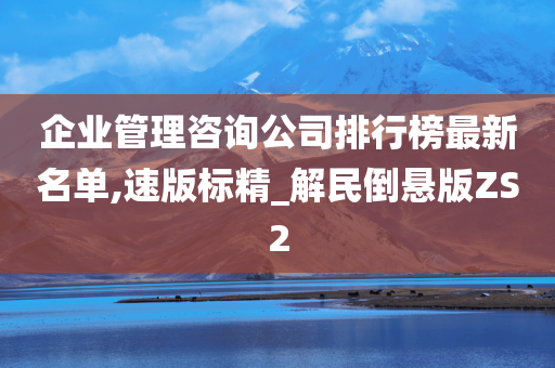 企业管理咨询公司排行榜最新名单,速版标精_解民倒悬版ZS2