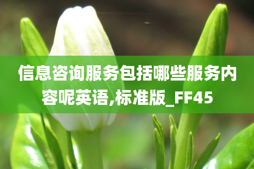 信息咨询服务包括哪些服务内容呢英语,标准版_FF45