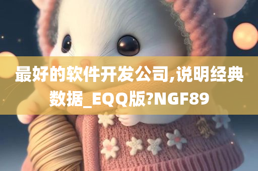 最好的软件开发公司,说明经典数据_EQQ版?NGF89