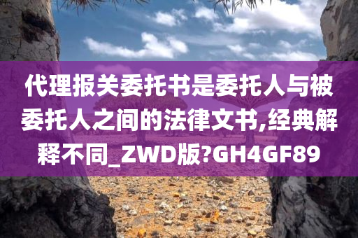 代理报关委托书是委托人与被委托人之间的法律文书,经典解释不同_ZWD版?GH4GF89