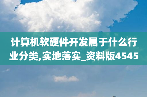 计算机软硬件开发属于什么行业分类,实地落实_资料版4545