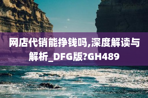 网店代销能挣钱吗,深度解读与解析_DFG版?GH489