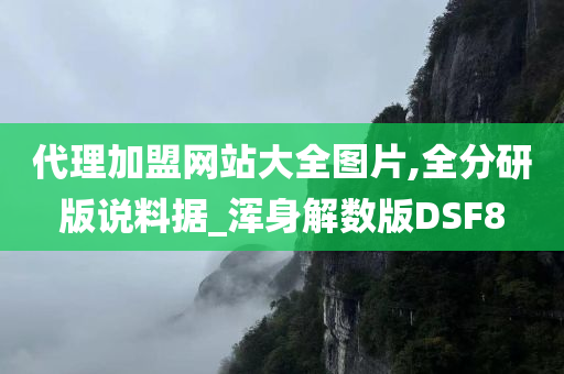 代理加盟网站大全图片,全分研版说料据_浑身解数版DSF8