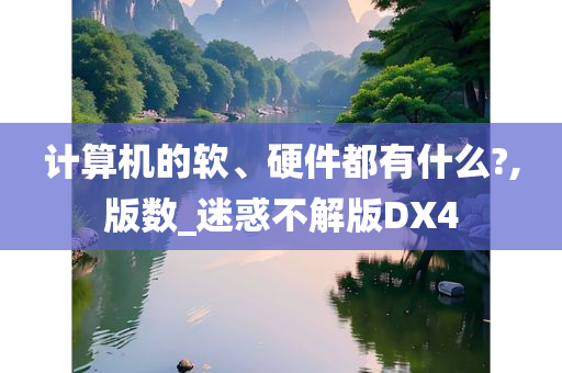 计算机的软、硬件都有什么?,版数_迷惑不解版DX4