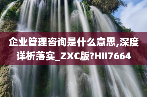 企业管理咨询是什么意思,深度详析落实_ZXC版?HII7664