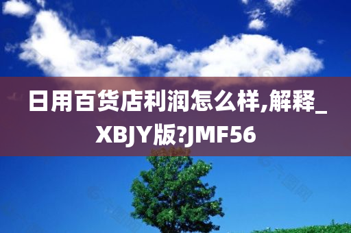 日用百货店利润怎么样,解释_XBJY版?JMF56