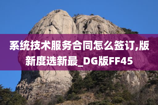 系统技术服务合同怎么签订,版新度选新最_DG版FF45