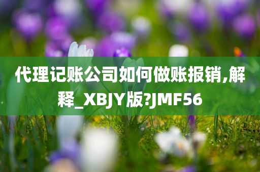 代理记账公司如何做账报销,解释_XBJY版?JMF56