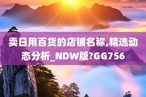 卖日用百货的店铺名称,精选动态分析_NDW版?GG756