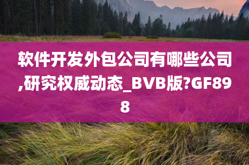 软件开发外包公司有哪些公司,研究权威动态_BVB版?GF898