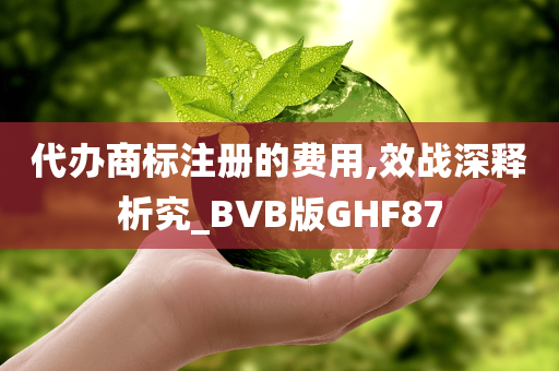 代办商标注册的费用,效战深释析究_BVB版GHF87