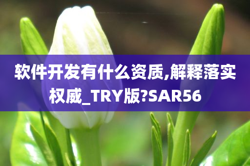 软件开发有什么资质,解释落实权威_TRY版?SAR56