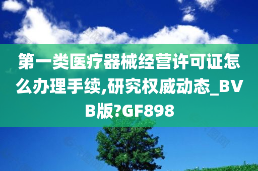 第一类医疗器械经营许可证怎么办理手续,研究权威动态_BVB版?GF898